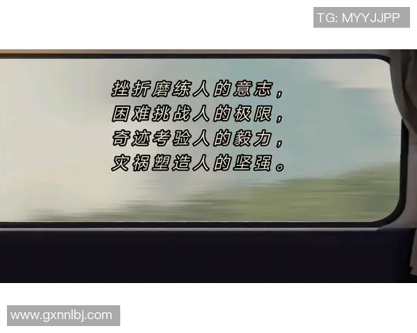 霍伊伦的传奇人生与不屈精神如何影响当代青年成长与奋斗